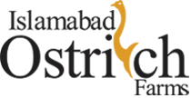 Islamabad ostrich farms 